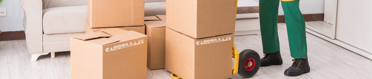 Una selezione di carrelli portapacchi